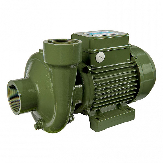 Наcосный агрегат моноблочный резьбовой SAER BP3 230V
